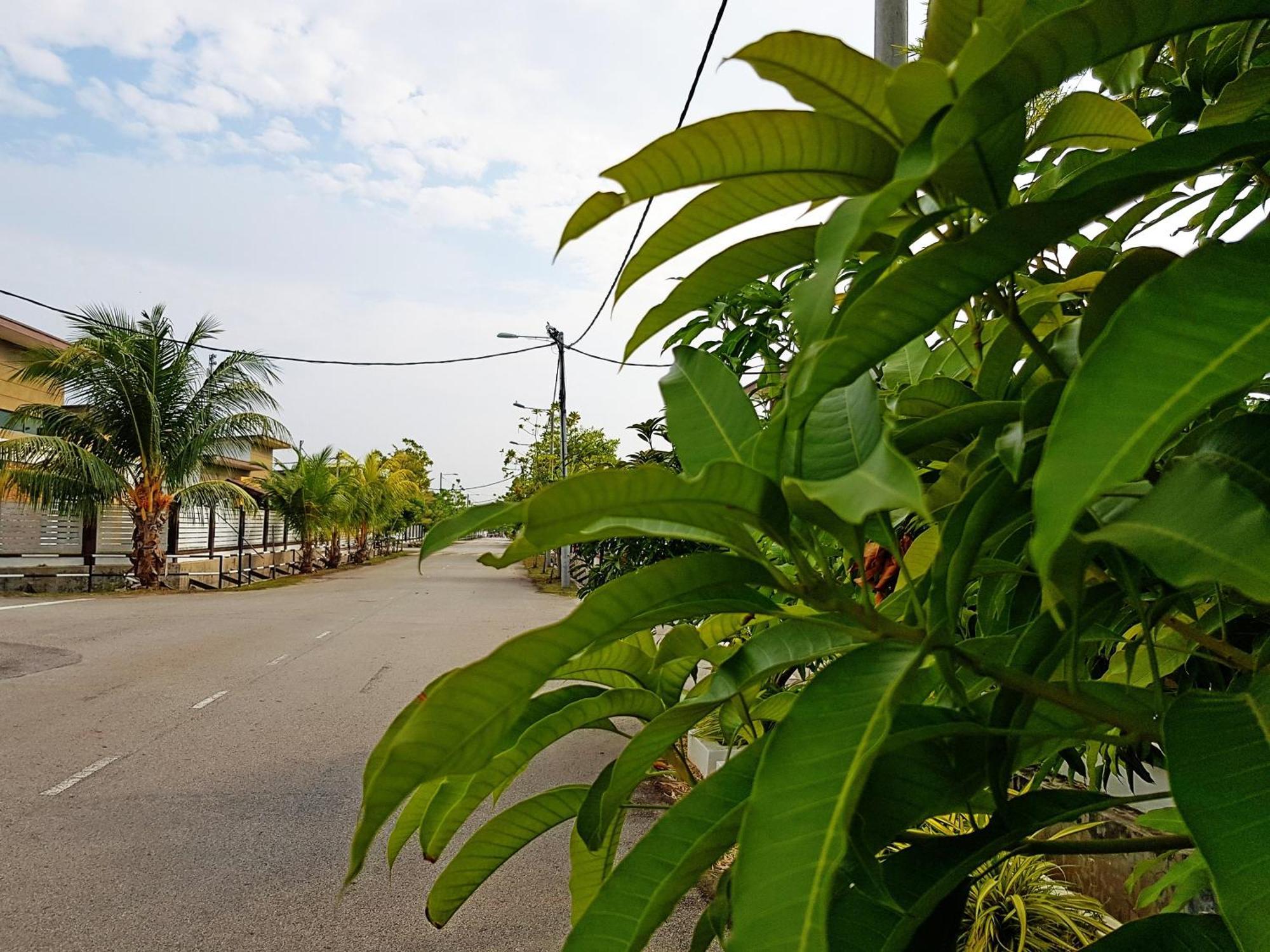 Siantan In Paya Rumput Near Std Hang Jebat, Sg Udang & Uitm Lendu Malacca エクステリア 写真